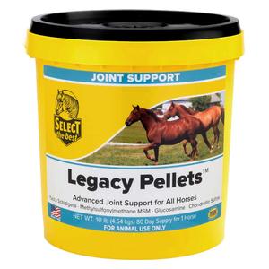 Legacy Joint Support for Senior Horses 10 lb (80 days) - Item # 27869