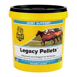 Legacy Joint Support for Senior Horses 10 lb (80 days) - Item # 27869
