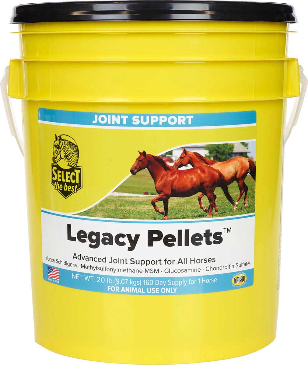 Legacy Joint Support for Senior Horses Select The Best - Multi-Purpose