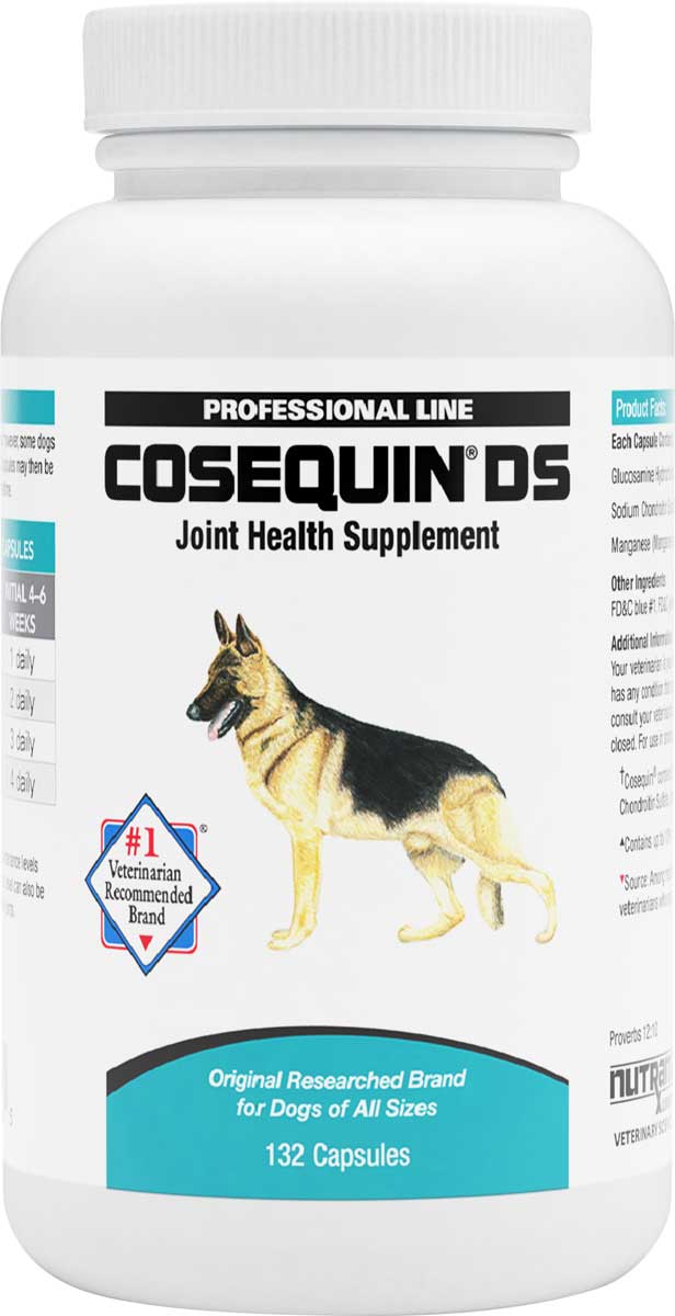 is cosequin ds safe for dogs