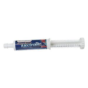 Perfect Balance Electrolite Paste for Horses 80 ml - Item # 28177