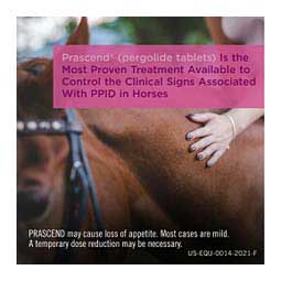 Prascend for Horses 1 mg 160 ct - Item # 281RX