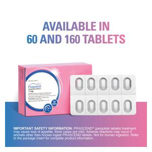 Prascend for Horses 1 mg 160 ct - Item # 281RX