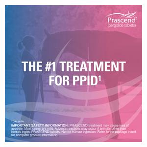 Prascend for Horses 1 mg 160 ct - Item # 281RX