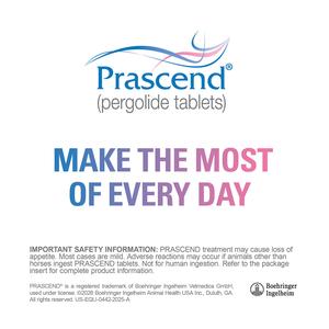 Prascend for Horses 1 mg 160 ct - Item # 281RX