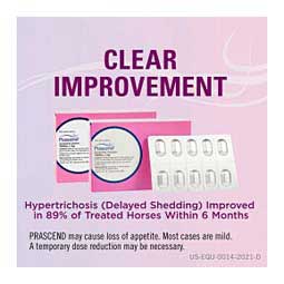 Prascend for Horses 1 mg 160 ct - Item # 281RX