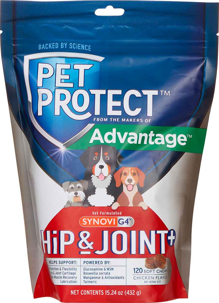 bayer joint supplement for dogs