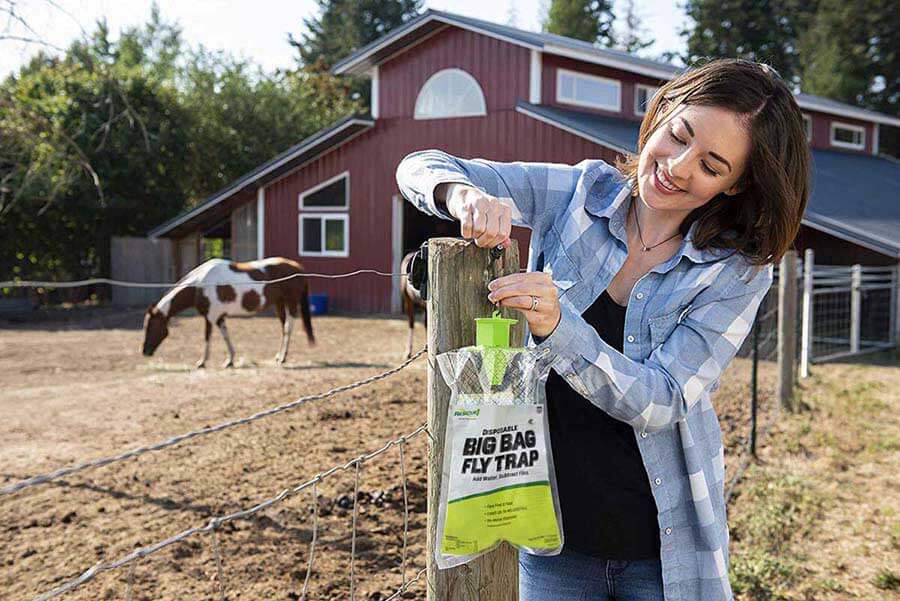 Rescue! Big Bag Disposable Fly Trap Sterling International - Fly Traps