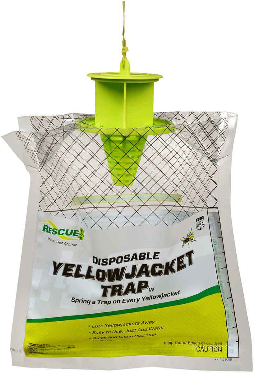 Yellow jacket price sales