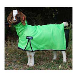 ProCool Mesh Goat Blanket Lime Zest - Item # 28715C
