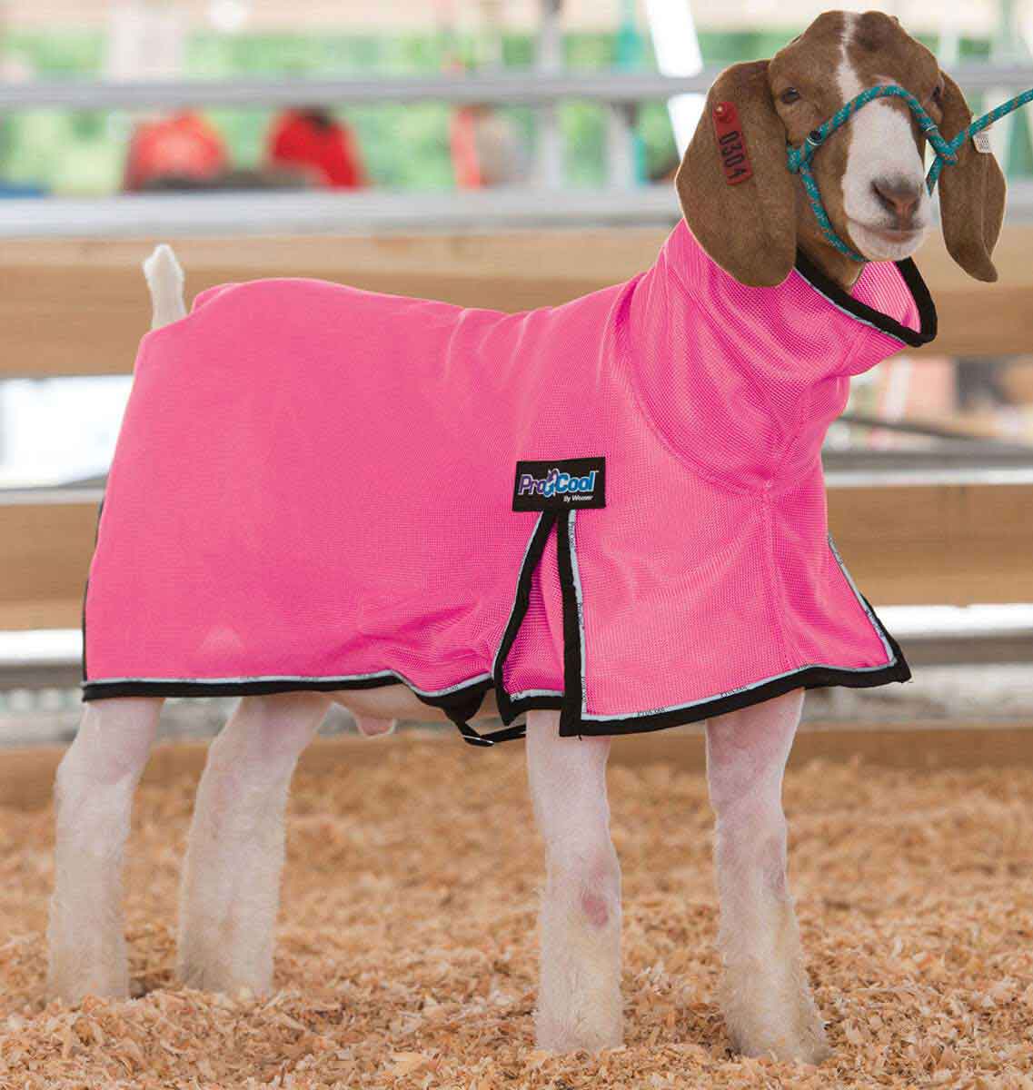 ProCool Mesh Goat Blanket Weaver Livestock Blankets Tubes Show Goat