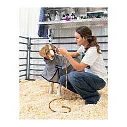 ProCool Mesh Goat Blanket Gray - Item # 28715