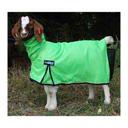 ProCool Mesh Goat Blanket Lime Zest - Item # 28715