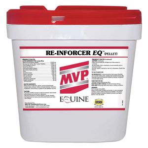 Re-Inforcer EQ for Horses 24 lb (128 days) - Item # 28764