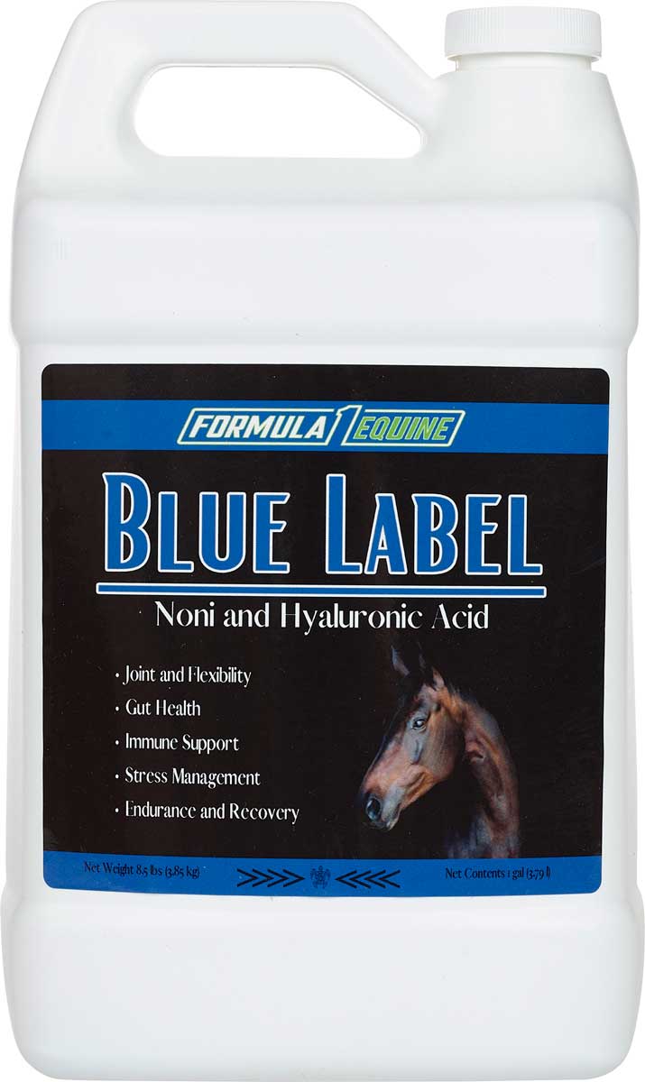 Syvor Blue Horse Salt Trick Men's Advanced Formula - 60 Capsules (Exp 12/2027)