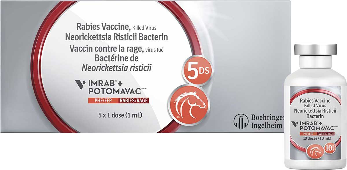 Equine Potomavac Imrab Rabies Equine Vaccine Merial Potomac Horse Fever Vaccines Equine