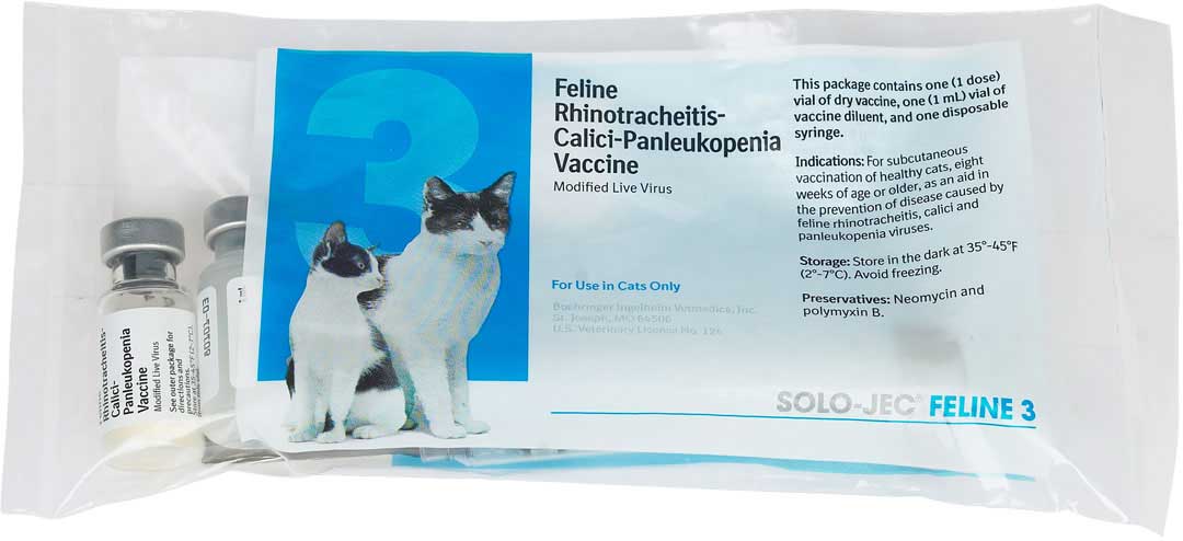 SoloJec Feline 3 Cat Vaccine Boehringer Ingelheim Cat Vaccines