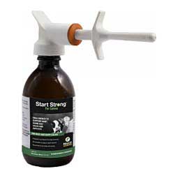 Start Strong for Calves 250 ml - Item # 29392