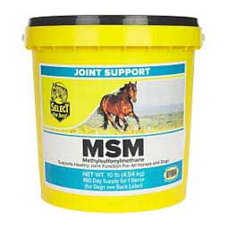 Select MSM Joint Support for Horses 10 lb (450 days) - Item # 29460