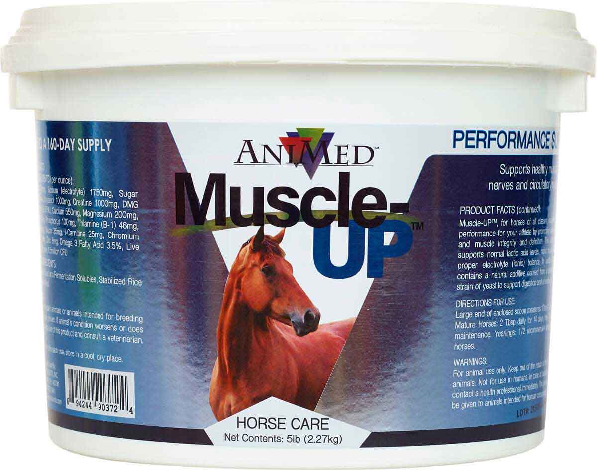 MuscleUp for Horses Animed Muscle Building Supplements Equine