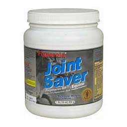 JointSaver Equine (Regenerex-MP) 1 lb (30 days) - Item # 29578
