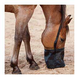 Feedrite Feed Bag Black - Item # 29660