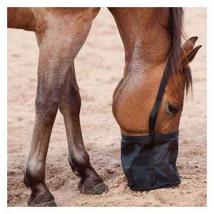 Feed Rite Feed Bag Black - Item # 29660