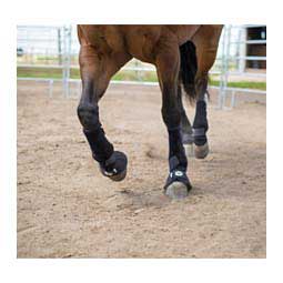 Destiny Support Horse Boots Black - Item # 30200