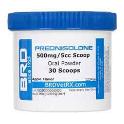Prednisolone Oral Powder for Horses 500 mg/5 cc 30 scoop - Item # 3023RX