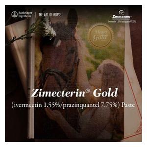Zimecterin Gold Paste Horse Dewormer Single dose - Item # 30449