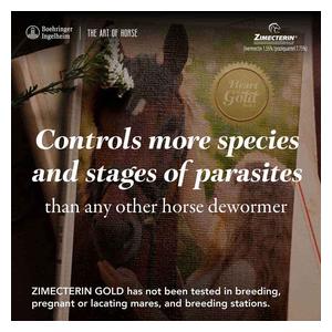 Zimecterin Gold Paste Horse Dewormer Single dose - Item # 30449