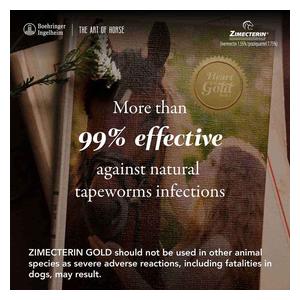 Zimecterin Gold Paste Horse Dewormer Single dose - Item # 30449
