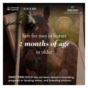 Zimecterin Gold Paste Horse Dewormer Single dose - Item # 30449