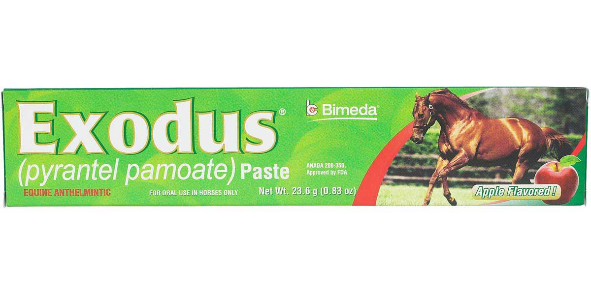 tobacco horse dewormer Jeffers Ivermectin Gel for Horses - Apple Flavored, Broad Spectrum Dewormer Paste - Effective Parasite Control for Worms, Pinworms, Bots & More small strongyles (including encysted cyathostome larvae) Anthelcide EQ Equine Wormer Paste