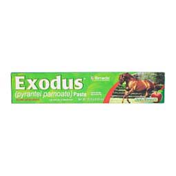 Exodus Paste Horse Dewormer 1 dose 1 ct - Item # 30505