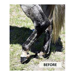 Show Touch-up Spray Black - Item # 30564