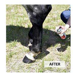 Show Touch-up Spray Black - Item # 30564