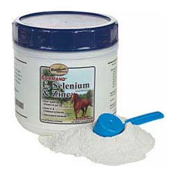 Command E, Selenium & Zinc 1 lb (45 days) - Item # 30592