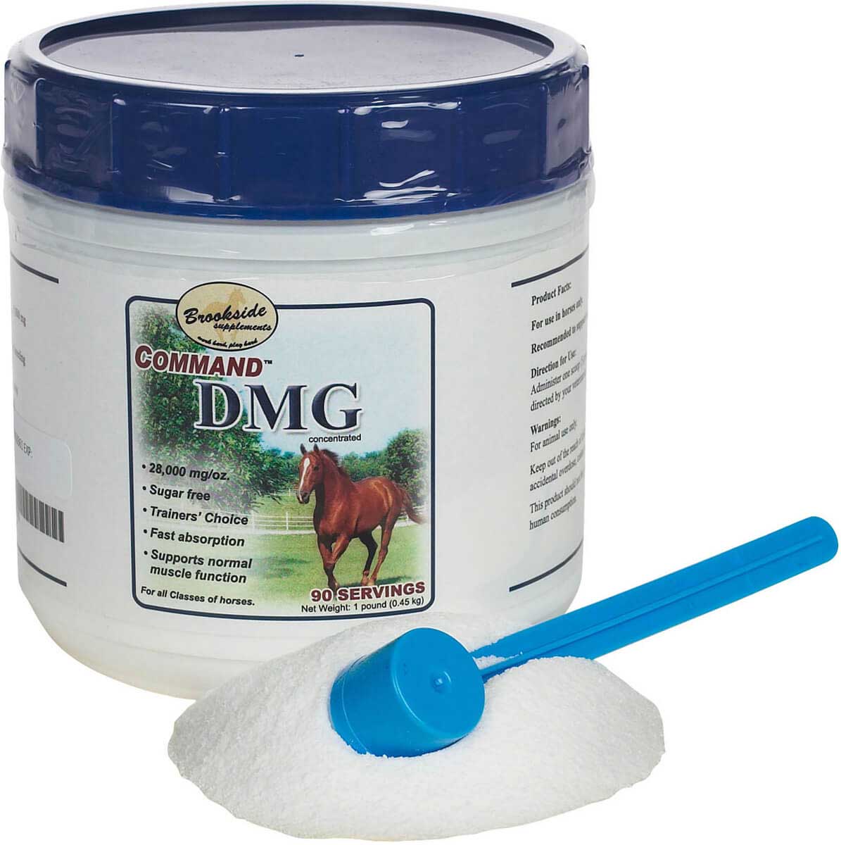 dmg for horses