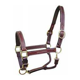 Padded Horse Halter Horse - Item # 31100