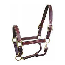 Adjustable Nylon Mini/Suckling Halter 5/8 Weaver - San Diego Saddlery