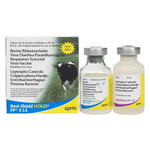 Bovi-Shield Gold FP5 L5 Cattle Vaccine 5 dose - Item # 31275