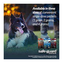 Safe-Guard Canine Dewormer 3 x 1 gm - Item # 31651