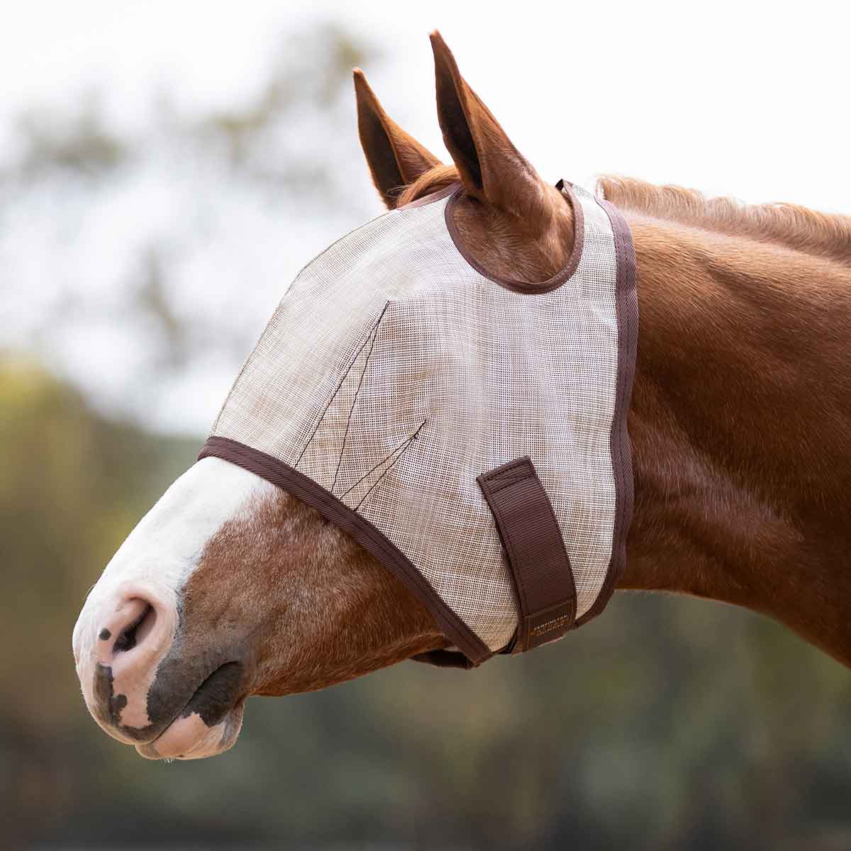 Valley Vet - Horse Fly Mask with Web Trim Kensington - Fly Masks, Boots ...