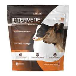 Lifeline Intervene Electrolytes for Scouring Calves 1 lb - Item # 32353