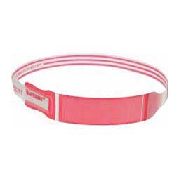 Puppy ID Neck Bands Red - Item # 32363
