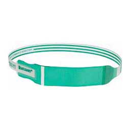 Puppy ID Neck Bands Green - Item # 32363