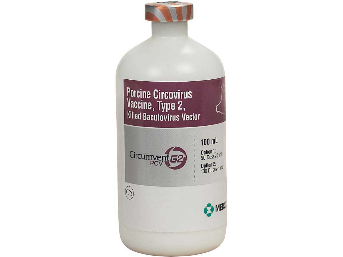 circumvent-pcv-g2-swine-vaccine-merck-miscellaneous-swine-vaccines