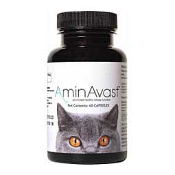 AminAvast Kidney Support for Dogs & Cats 300 mg/60 ct (cat/dog up to 20 lbs) - Item # 32532