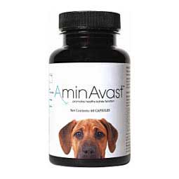 AminAvast Kidney Support for Dogs & Cats 1000 mg/60 ct (dogs over 20 lbs) - Item # 32533